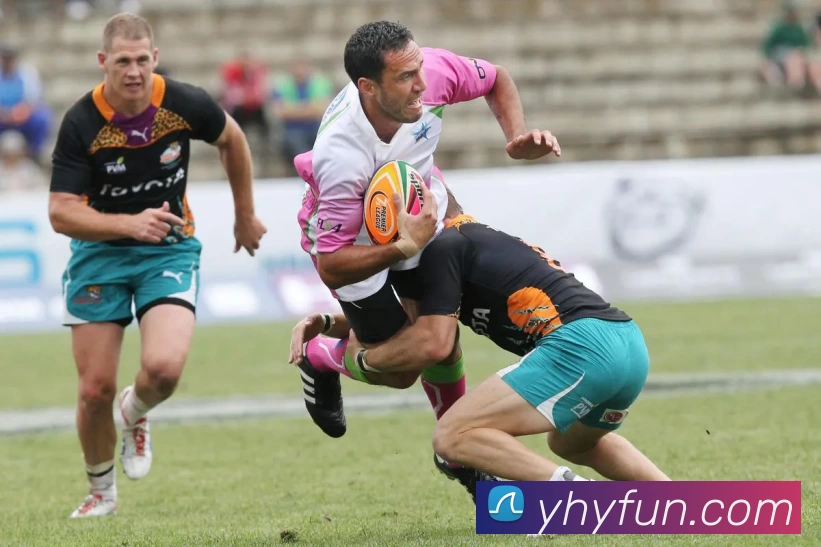 银河优越会官网平台生态图