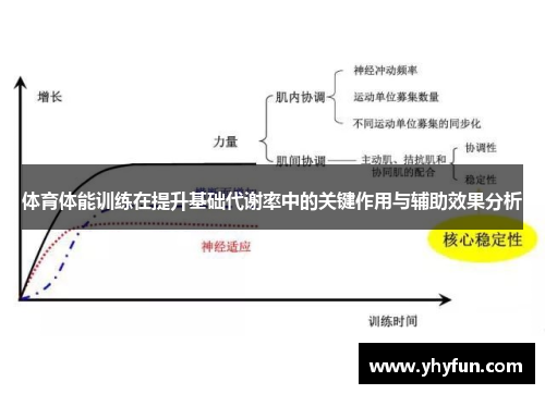 体育体能训练在提升基础代谢率中的关键作用与辅助效果分析